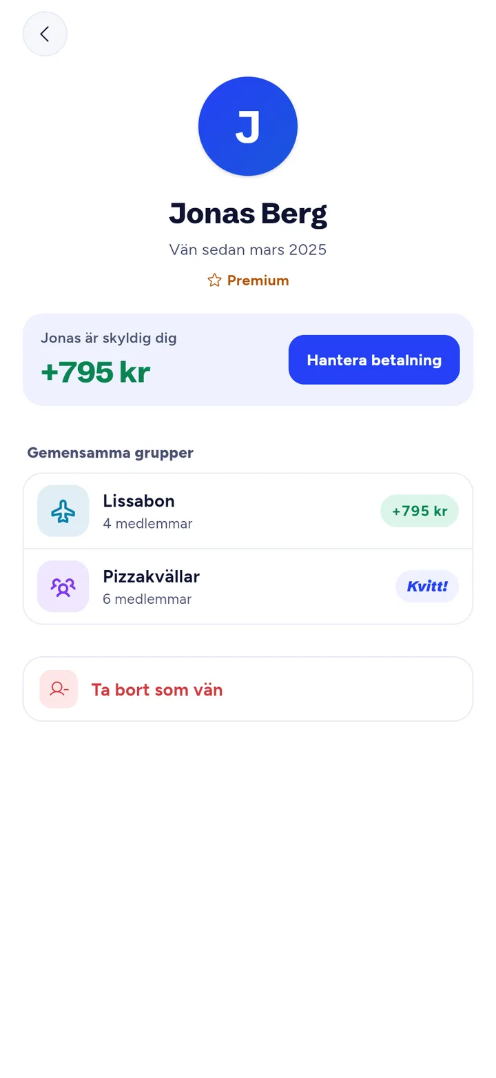 Profilen för Jonas Berg: Jonas är skyldig dig +795 kr, i grupperna Lissabon och Pizzakvällar.